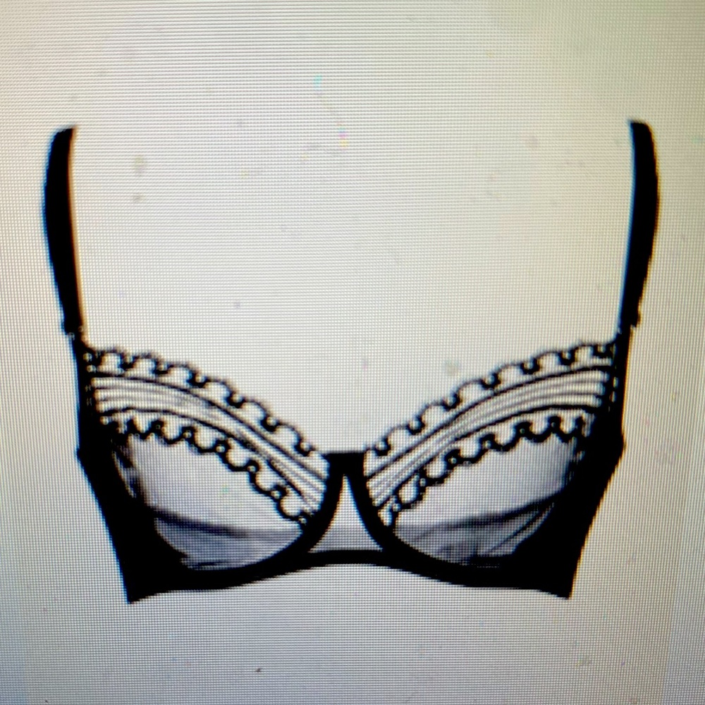 Christie’s Black Lace Tulle Demi Cup Bra